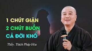 1 chút giận, 2 chút buồn, cả đời khổ - Thầy Thích Pháp Hòa