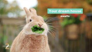 Hop Into Your new Home with TwoMoveYou, Brighton, Ontario Real Estate