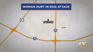 Dallas Woman In Critical Condition After Being Mauled By 3 Pit Bulls