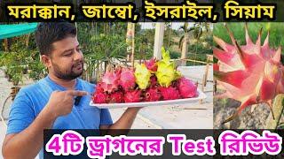 মরাক্কান, জাম্বো, ইসরাইল, সিয়াম রেড ড্রাগন ফলের স্বাদ কেমন ? Dragon Fruit Test Review । #dragon