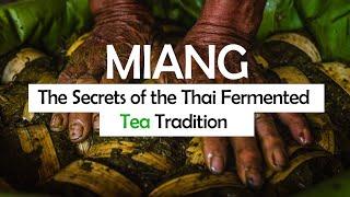 [Documentary] Thai Miang: A Tea that you can Eat