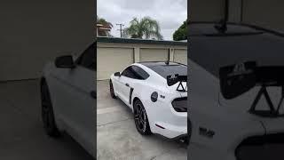 Window Tint - Orange County - California