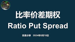 尝试新策略- 比率价差期权 | Ratio Put Spread | 期权卖方 实盘分享 第十六周