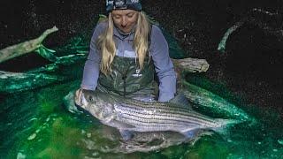 Fall Run Striped Bass School - Big Night Striper - Surf Fishing Long Island - Smooch and Release