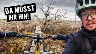 MEGA TRAILS im Trailpark Harz  @harzcore_tv  zeigt mir seine Hometrails!