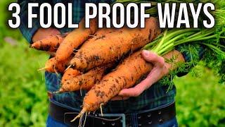 3 Foolproof Methods to Grow Delicious Carrots 