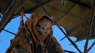 Ewoks Hang Glider