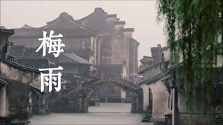 李健「梅雨」ღ 歌詞字幕版