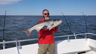 Rockfish in Maryland - Fishing Chesapeake Bay Charter Near Annapolis MD