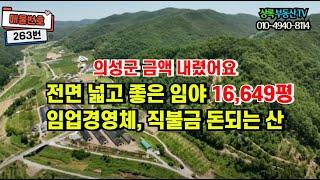 263번 금액다운)임업직불금 가능하고, 임업경영 허가요건 갖춘 동네뒷산  #부동산 #임야 #경북땅