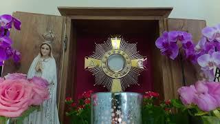 Live-Eucharistic Adoration from 3ltv Vienna, Austria