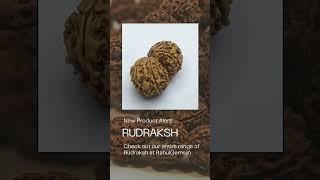 Discover Rudraksha: Read Our Blog, Shop Authentic Beads #Rudraksha #SpiritualAwakening #DivineEnergy