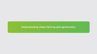 Understanding MIXED farming and agroforestry systems