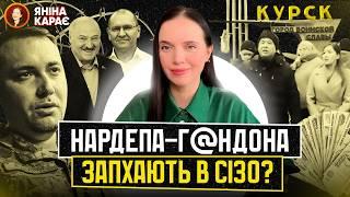 Агент Шевченко і група «ЗА СІZО» Стерненко ГОВОРИВ із Сирським? Протест у Курську! Вечір з Яніною