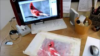 Watercolor Cardinal Red Bird - Session 3 - and a studio tour!