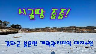 강화도 부동산! 시골땅 줍줍 하세요! 계획관리지역 대지+전! 주택단지개발,공장,물류창고,캠핑장 추천! 강화도 토지매물