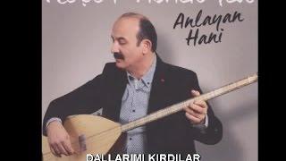 NEŞET ABALIOĞLU - DALLARIMI KIRDILAR