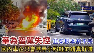 華為問界智駕失控太嚇人，韭菜根本割不完，國內車企只會唬弄把民眾智商踩在地上摩擦，小粉紅的錢真好賺