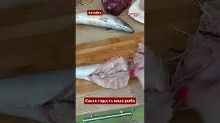 Витеблянка показала какую жуткую скумбрию продают на рынке #беларусь #витебск #рыба #качество #рынок