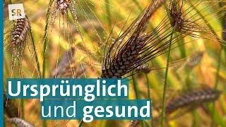 Emmer, Einkorn und Dinkel - gesundes Backen mit alten Getreidesorten