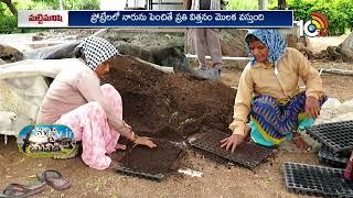 Seeding Cultivation Techniques | ప్రోట్రేలలో నారు పెంపకం | Matti Manishi | 10TV News