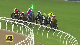 ZARDOZI WINS THE 2024 G2 PHAR LAP STAKES