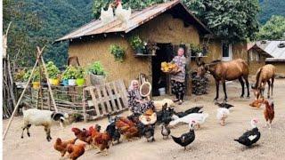 Traditional Village Cooking  Making Butter &