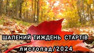 Мої шалені стартиГотова робота  та барви осені ️#шалений_тиждень_стартів_листопад_2024