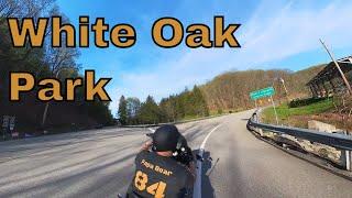 Papa Bear's Scenic Ride: Exploring White Oak Park on a Road Glide