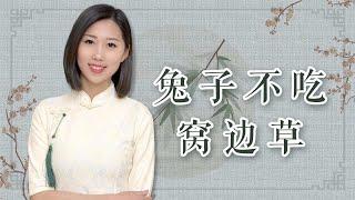 “兔子不吃窝边草”，下半句更是经典，道出了人性丑陋