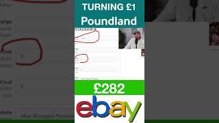 £1 item into £282 eBay