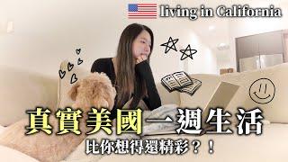 美國工程師一週生活vlog｜買保時捷911!?｜創業籌備中｜國際廠牌合作｜米其林二星餐廳