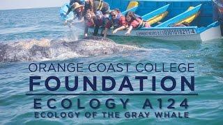 ORANGE COAST COLLEGE FOUNDATION: Ecology Of The Gray Whale