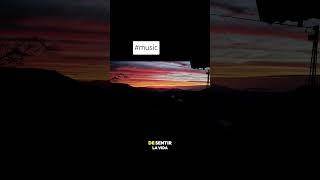 #newmusic #willie.adventour#travel