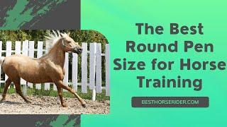 The Best Round Pen Size for Horse Training