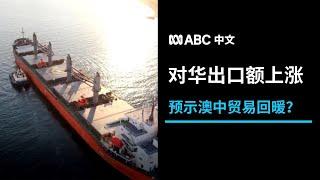 澳洲对中国出口额大幅增长 两国贸易关系逐步回暖？丨ABC中文