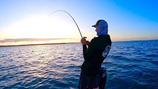 Big fish on the move on MORETON BAY