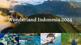 Wonderland Indonesia 2024