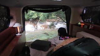 Solo camping️ Camping in front of a beautiful valley  Car camping