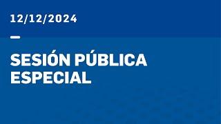 SESIÓN ESPECIAL 12-12-24