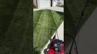 Mower Find! #lawn #garden #deal #killerdeal #grass #greenthumb #lawncare #lawnandgarden #diy