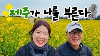 제주 여행️ | 내가 섭지코지에 가고싶은 이유 | 제주 맛집 | 유민미술관 | 빛의벙커