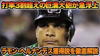 【阪神新助っ人超最新情報】ラモン・ヘルナンデス獲得の可能性を徹底解説!! ガルシアとの最終決断問題について【阪神タイガース】