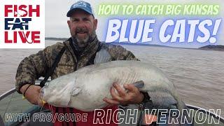 Kansas Blue Cat Fishing with Pro Guide Rich Vernon Fish Eat Live