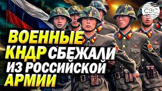 Партия сказала «надо», но северокорейцы не хотят: военные КНДР сбежали из российской армии