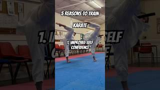 5 Reasons to Train Karate #martialarts #karate #shotokan #kicks #training @nathearn