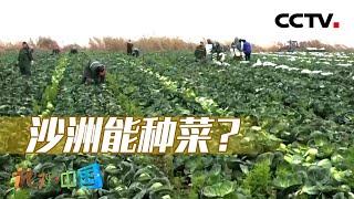 罕见的“几”字形湾有何作用？古代工程背后又折射出怎样的田园观念？20240629 荆楚之南·田（上）| CCTV科教《地理·中国》