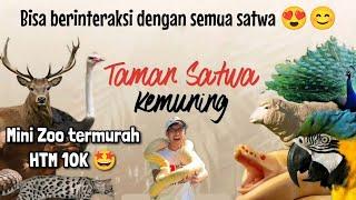 Wisata terbaru di Solo - TAMAN SATWA KEMUNING - Mini Zoo termurah di Jawa Tengah!