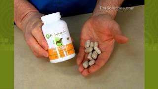 PetSolutions: Hip + Joint Extra Strength Chewable Tablets