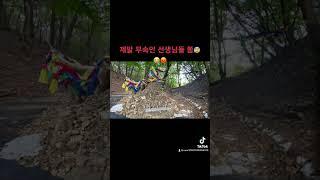 1년만에 찾아간 서낭근대 예전과 많이 봐뀐 상황 나무에 박혀있던 방울도 훔쳐가고 서낭고도 지져분하게 묶여있고 개판을 만들어놨네 하...다시는 기도터 공유 안합니다